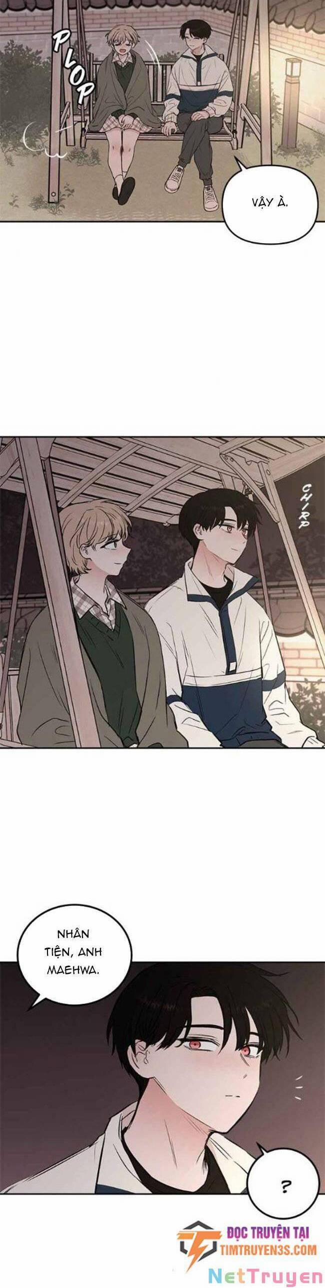 Bươm Bướm Và Máu 24 trang 11