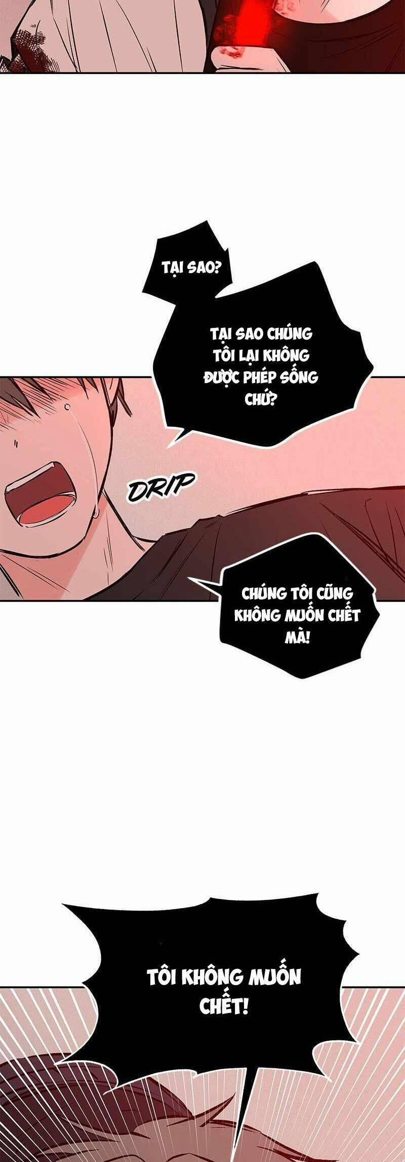 Bươm Bướm Và Máu 29 trang 20