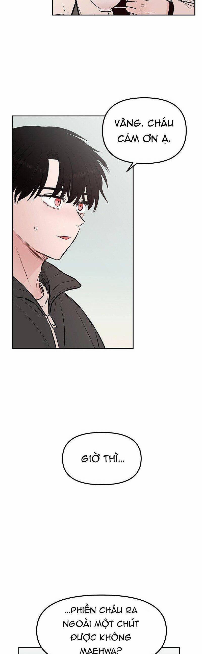 Bươm Bướm Và Máu 35 trang 17