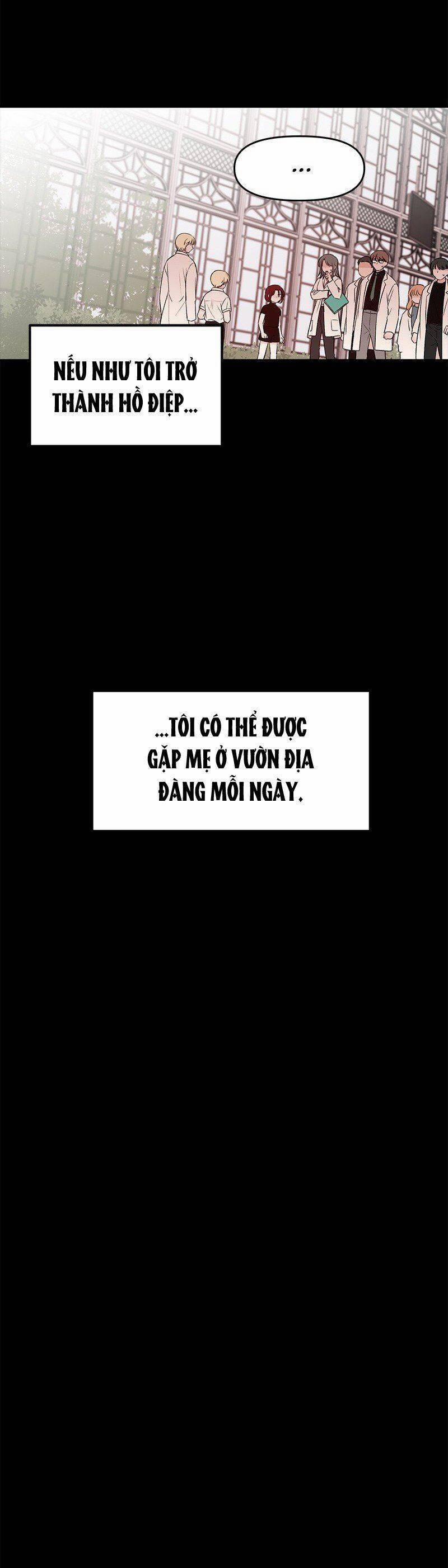 Bươm Bướm Và Máu 37 trang 16