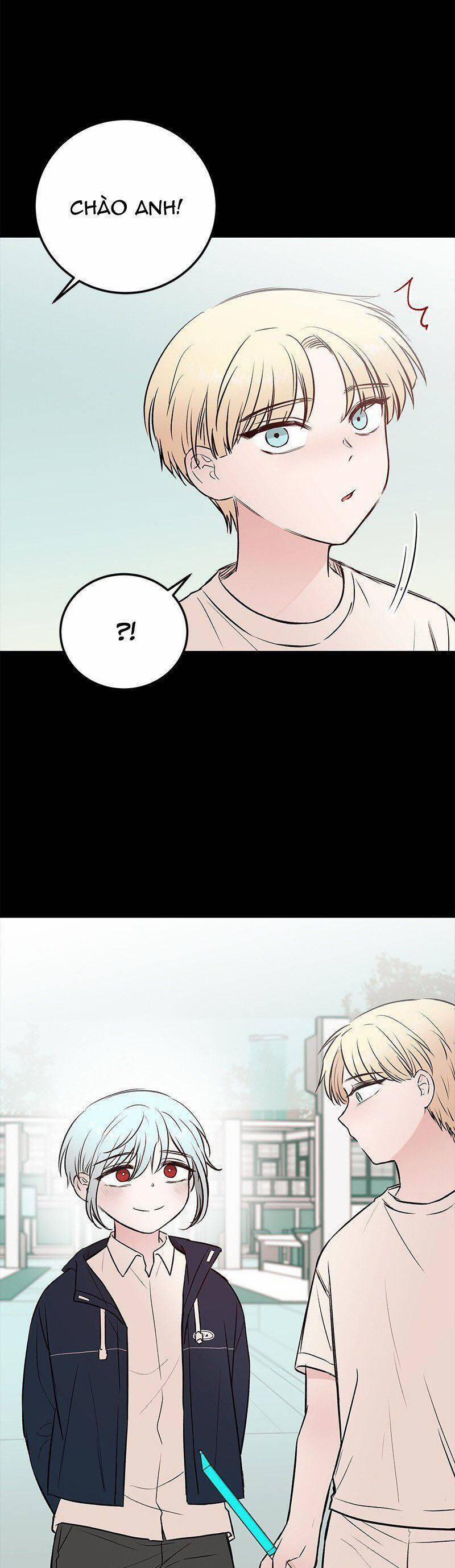 Bươm Bướm Và Máu 37 trang 31