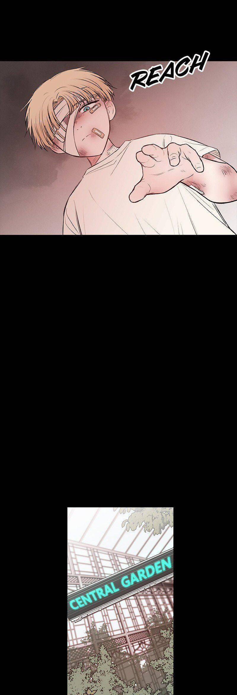 Bươm Bướm Và Máu 40 trang 31