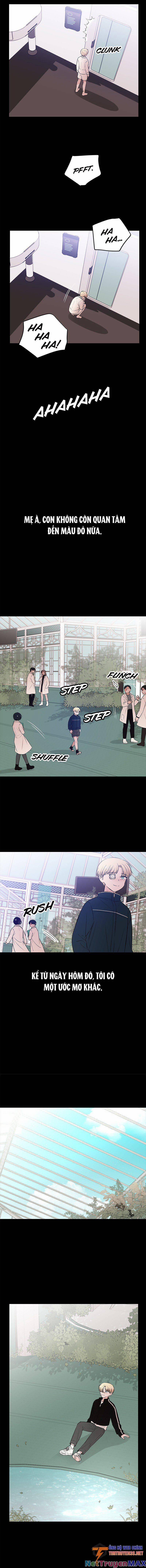 Bươm Bướm Và Máu 41 trang 11
