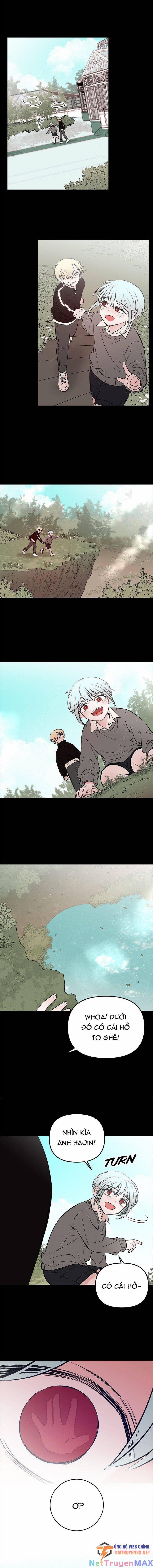 Bươm Bướm Và Máu 41 trang 13