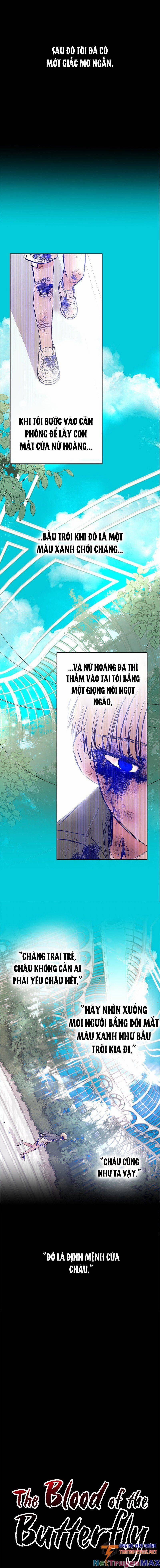 Bươm Bướm Và Máu 41 trang 7