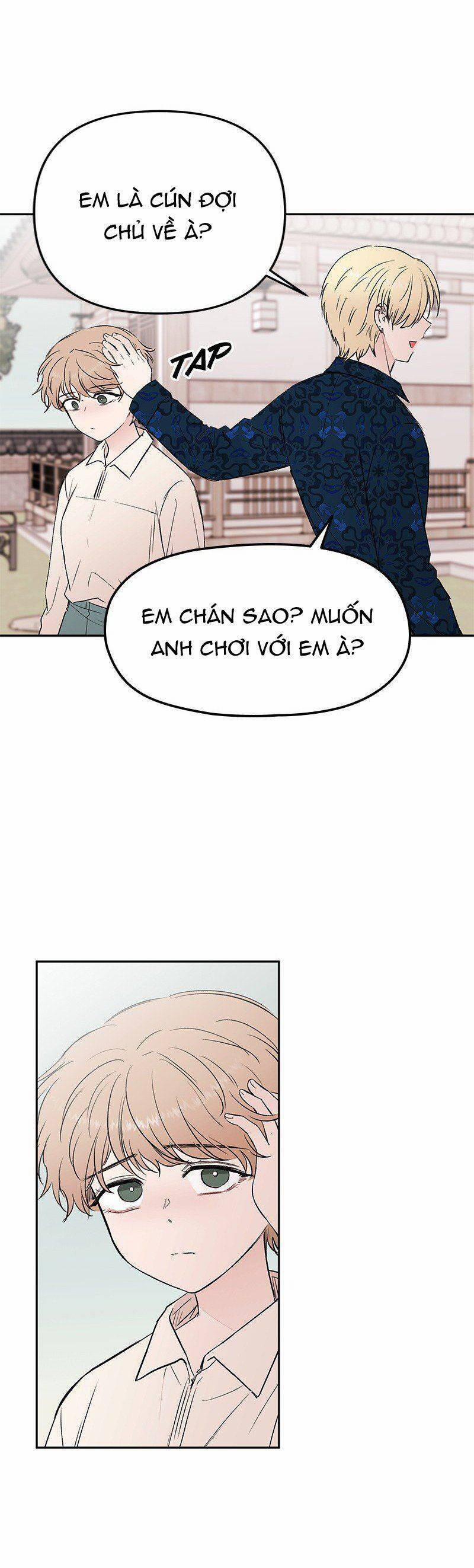 Bươm Bướm Và Máu 42 trang 4