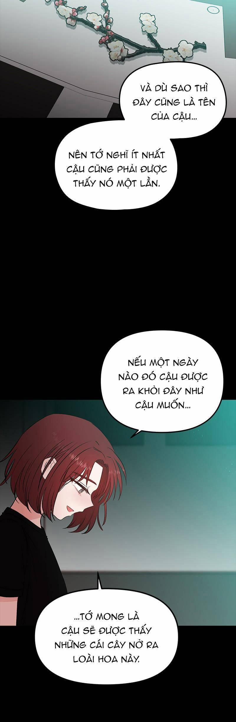 Bươm Bướm Và Máu 50 trang 13