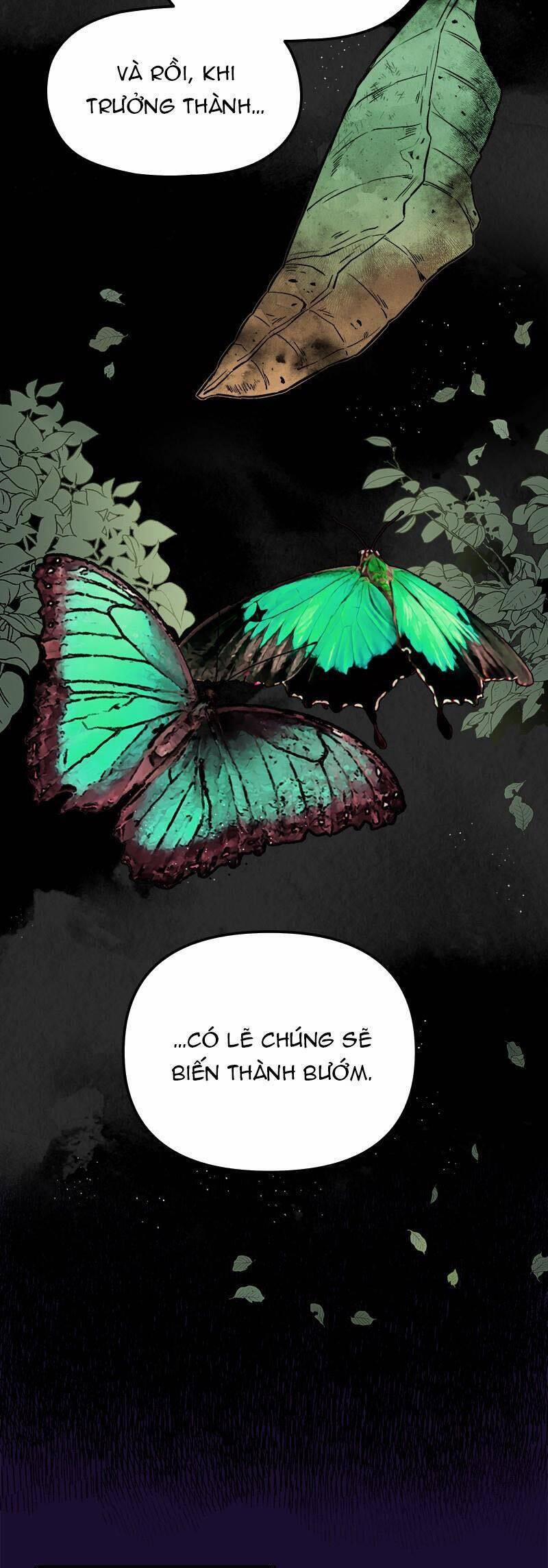 Bươm Bướm Và Máu 55 trang 25