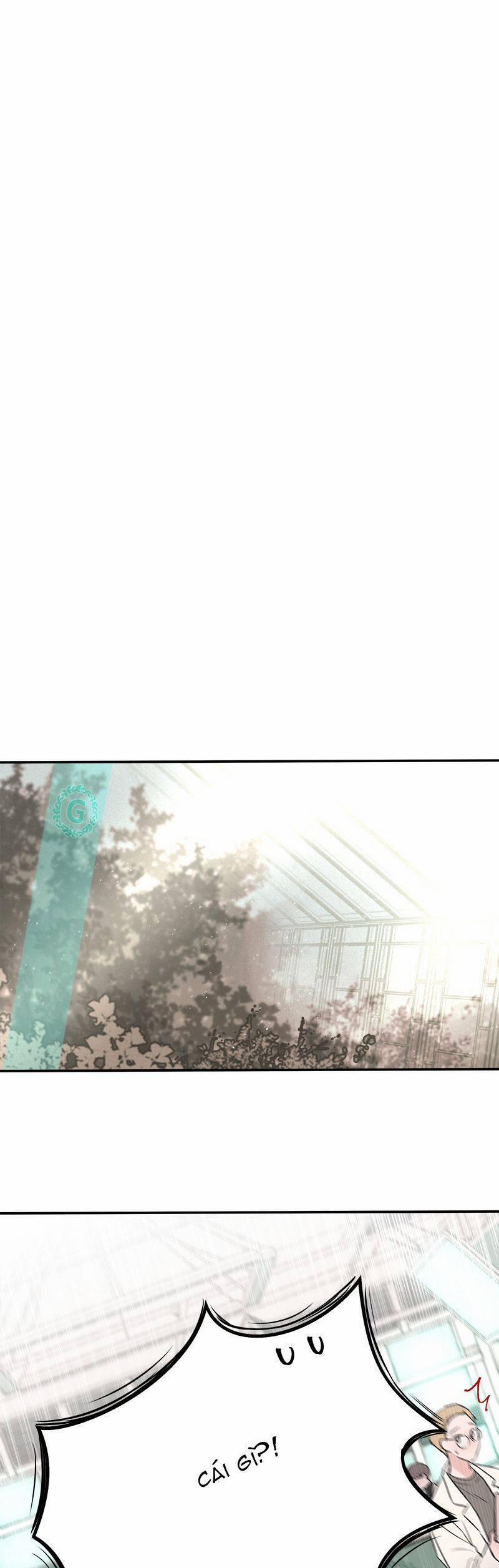 Bươm Bướm Và Máu 9 trang 14