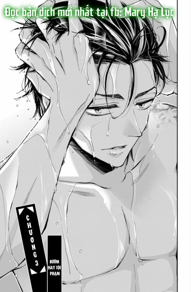 Bướm Hay Là Tội Phạm~Quý Ngài Yakuza Muốn Làm Tôi Khóc 3.1 trang 0