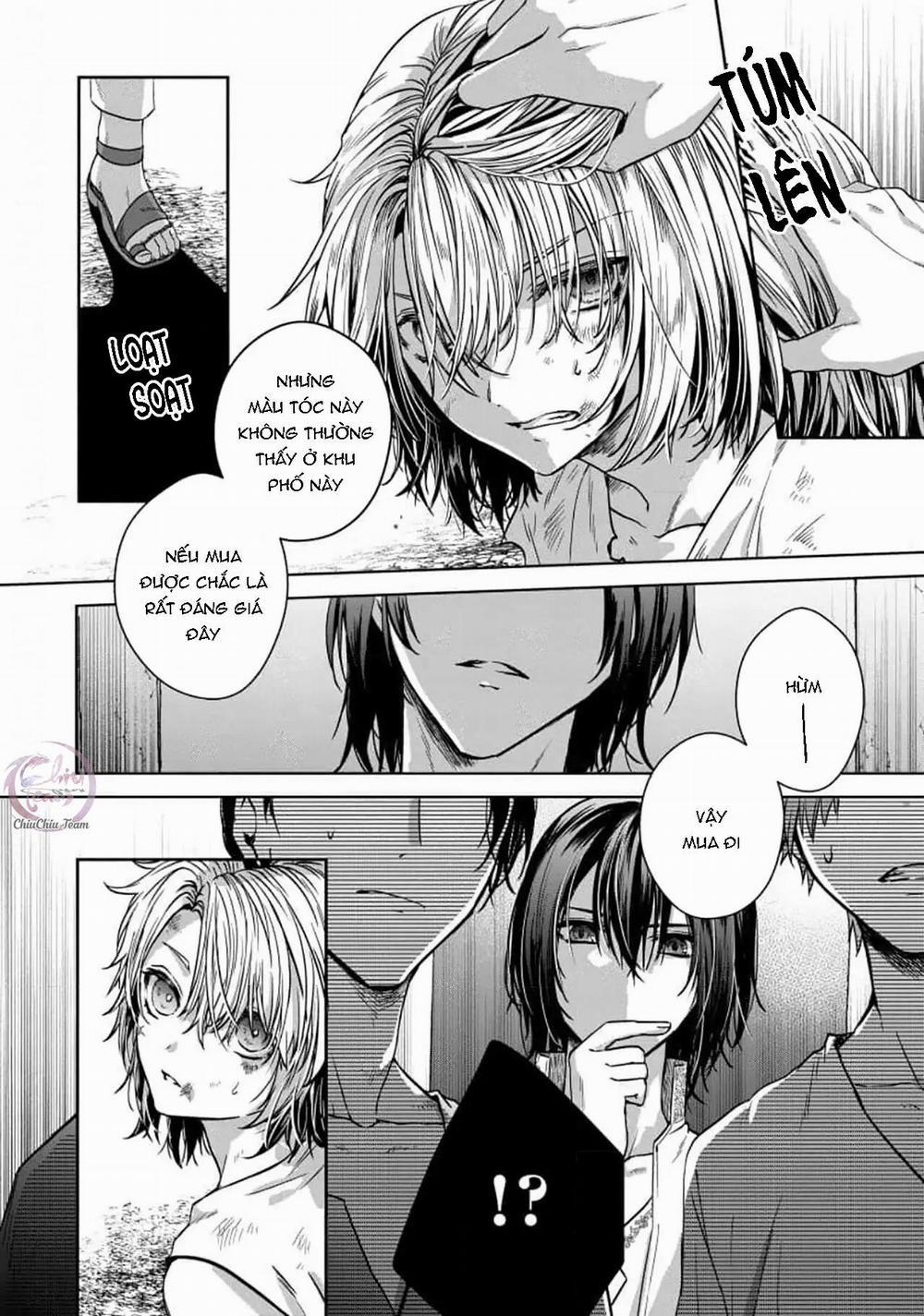 Bướm Trên Sa Mạc Khao Khát Bị Bắt 5 trang 2