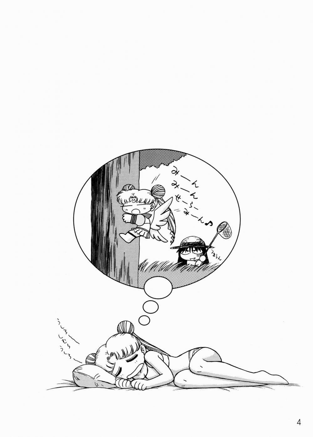 Burning Down The House (Sailor Moon) Oneshot trang 3