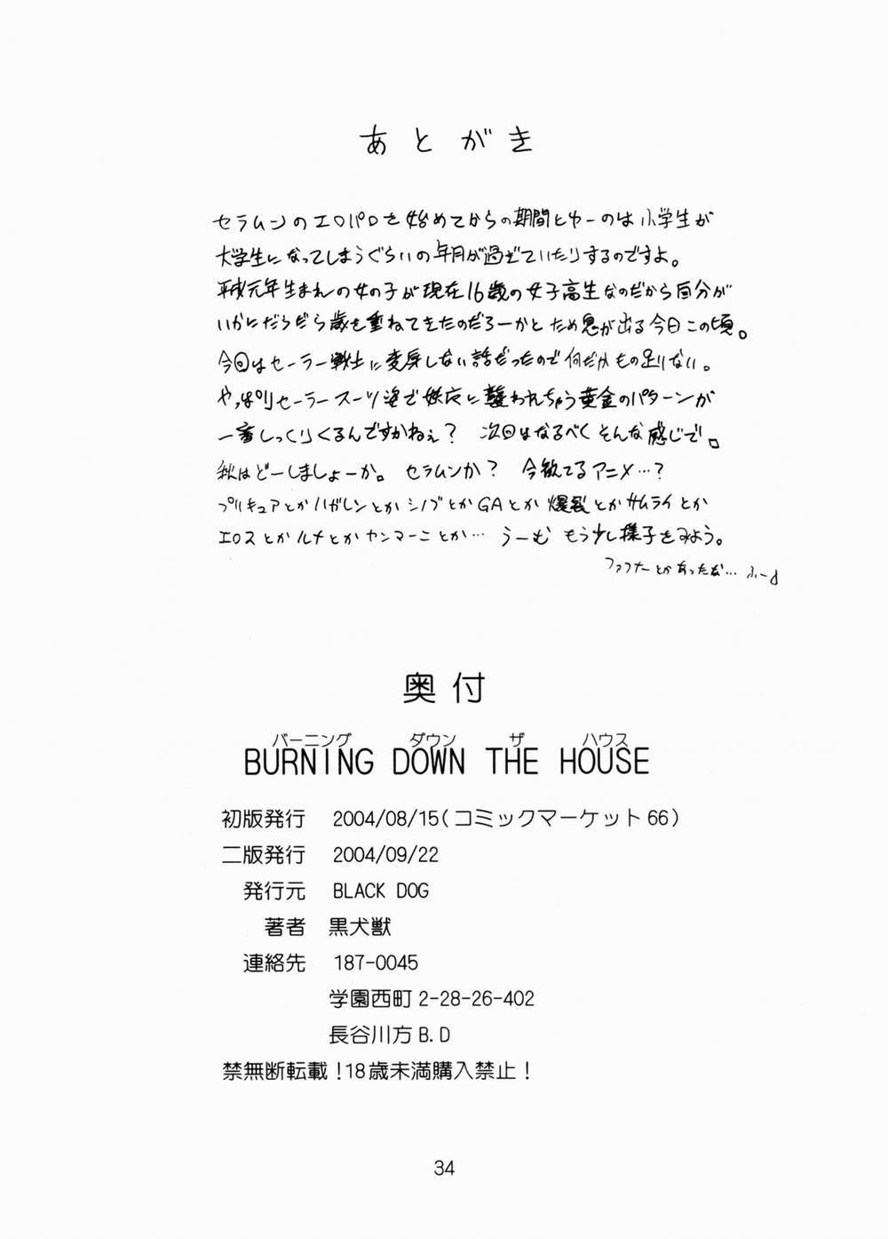 Burning Down The House (Sailor Moon) Oneshot trang 33