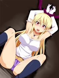 Đọc truyện tranh Buta Ni Tsukamatta Erufu No Matsuro