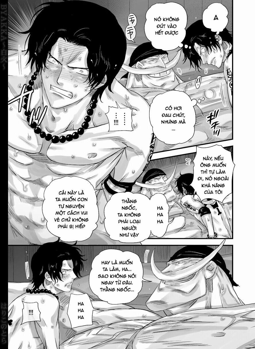 BYAKKA (One Piece) Oneshot trang 5