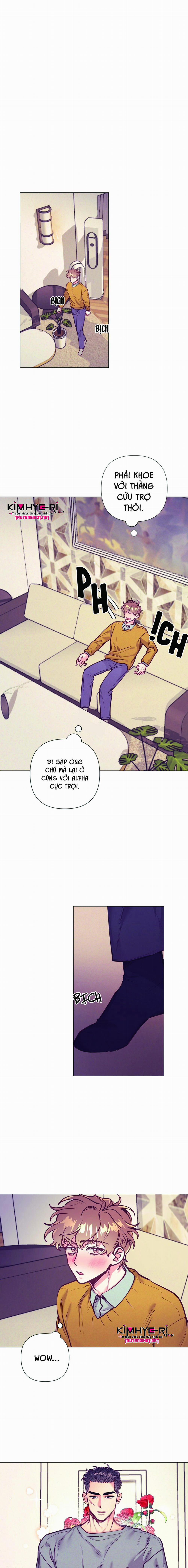 BYE BYE 14 trang 7