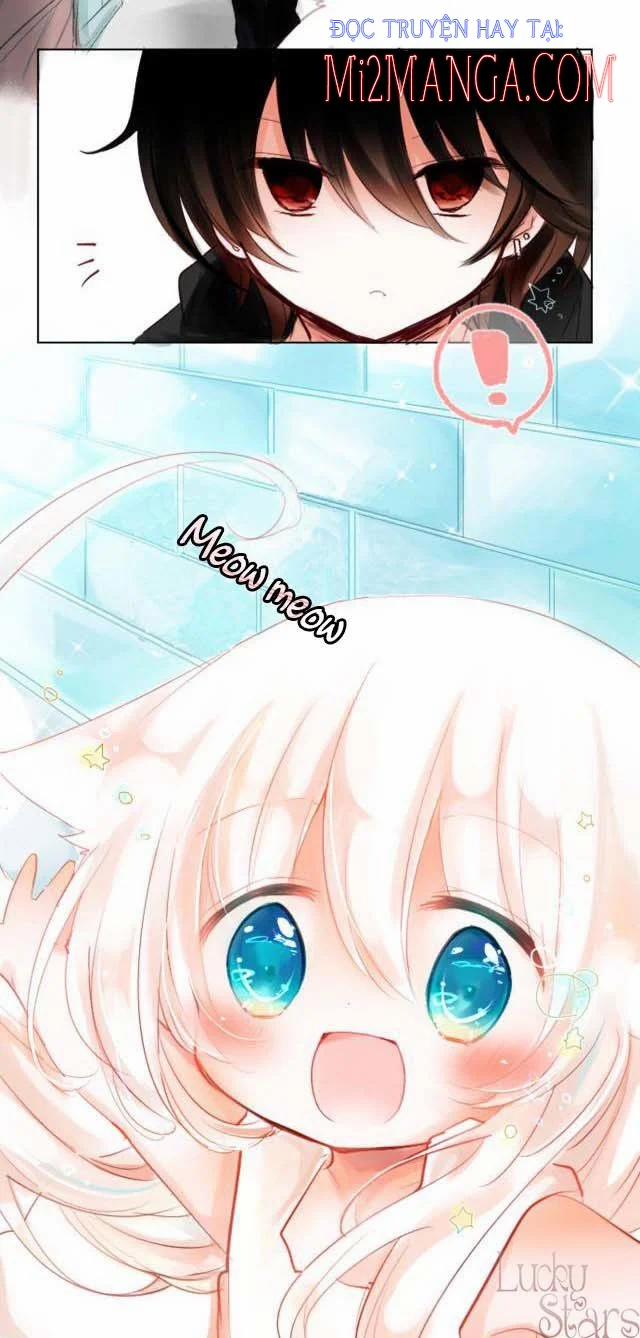 Ca Ca Xin Hãy Nhận Nuôi~Meow 1 trang 20