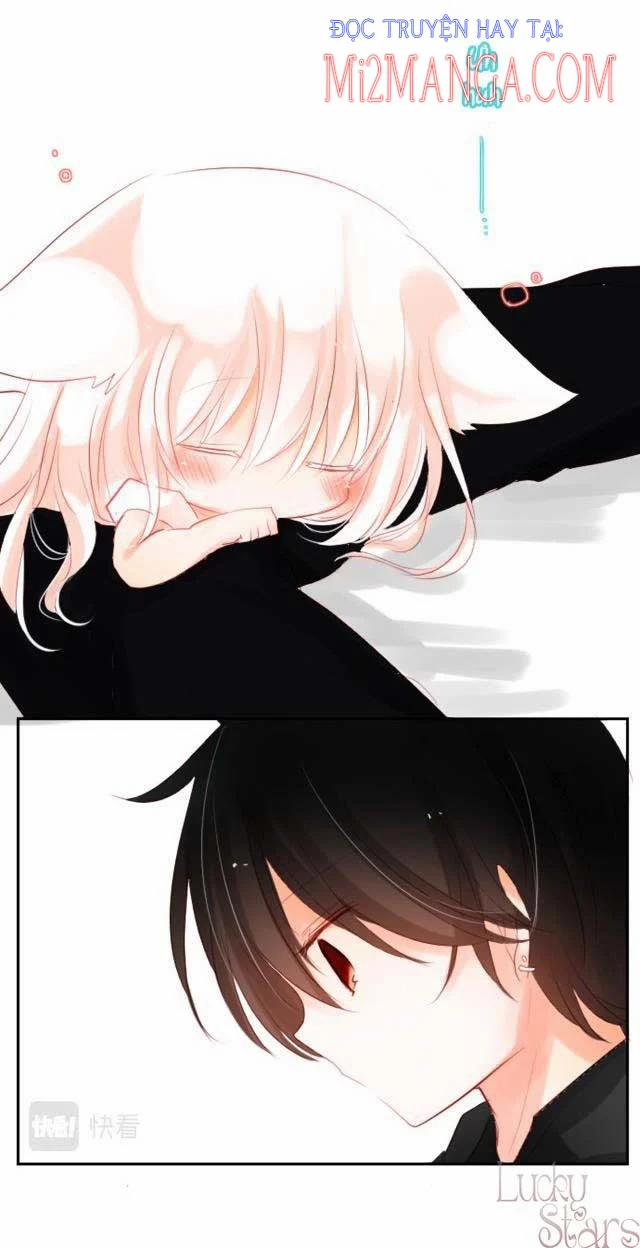 Ca Ca Xin Hãy Nhận Nuôi~Meow 2.5 trang 14