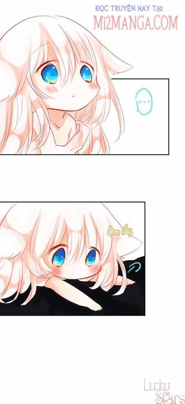 Ca Ca Xin Hãy Nhận Nuôi~Meow 2.5 trang 19