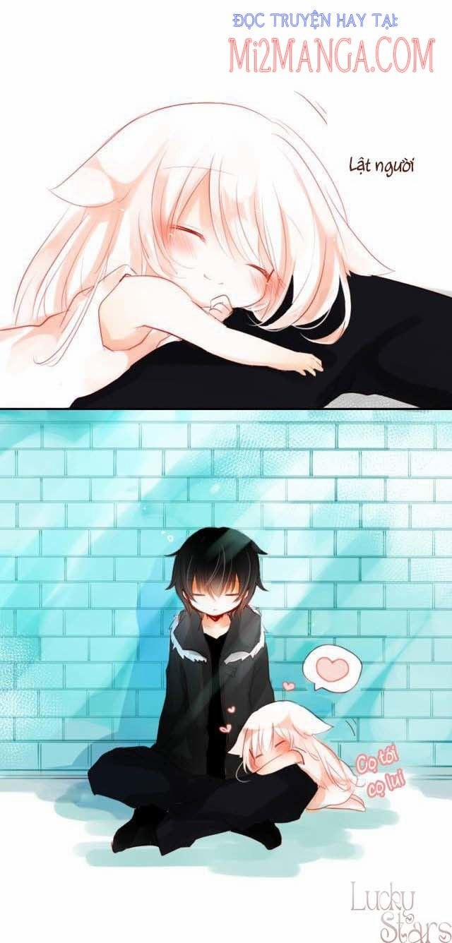 Ca Ca Xin Hãy Nhận Nuôi~Meow 2.5 trang 20