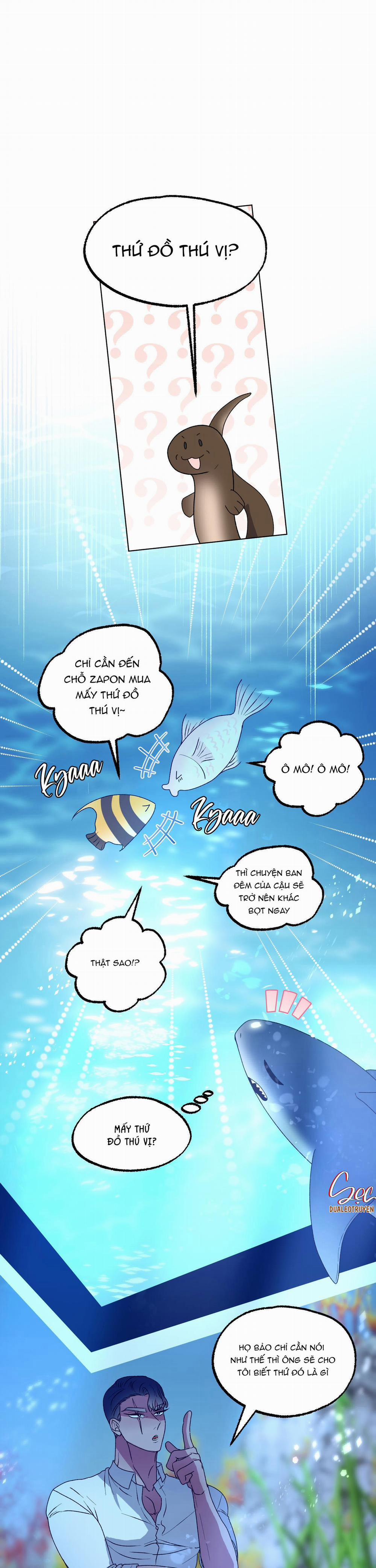 CÁ MẬP VÀ CÔ DÂU THỎ 10 trang 1