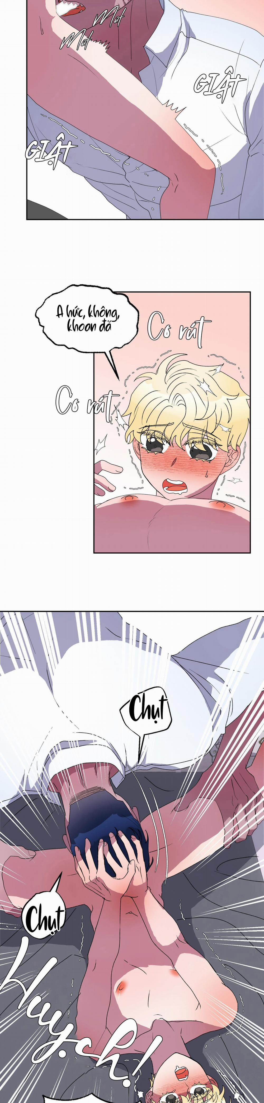 CÁ MẬP VÀ CÔ DÂU THỎ 11 trang 11