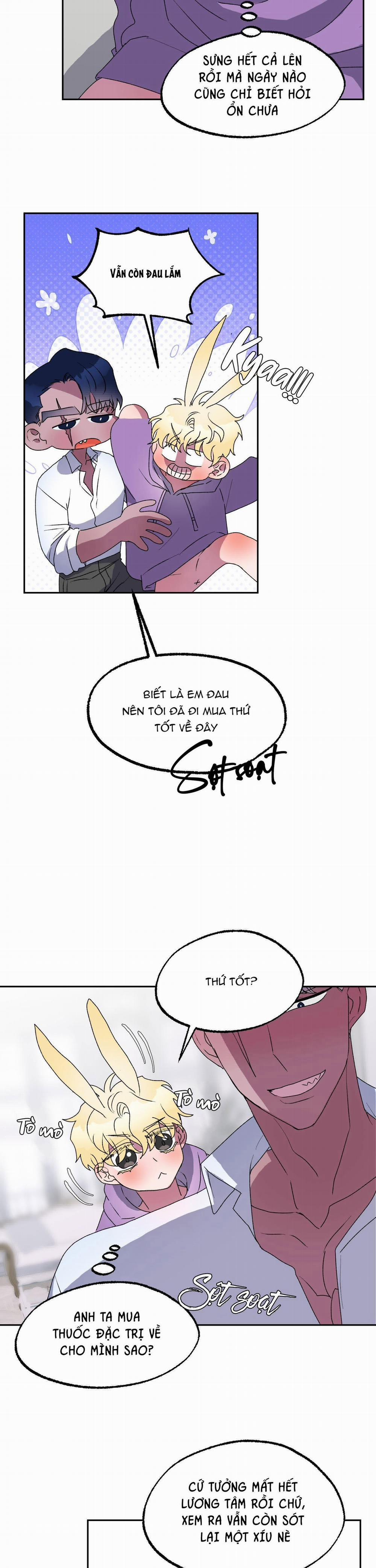 CÁ MẬP VÀ CÔ DÂU THỎ 11 trang 1