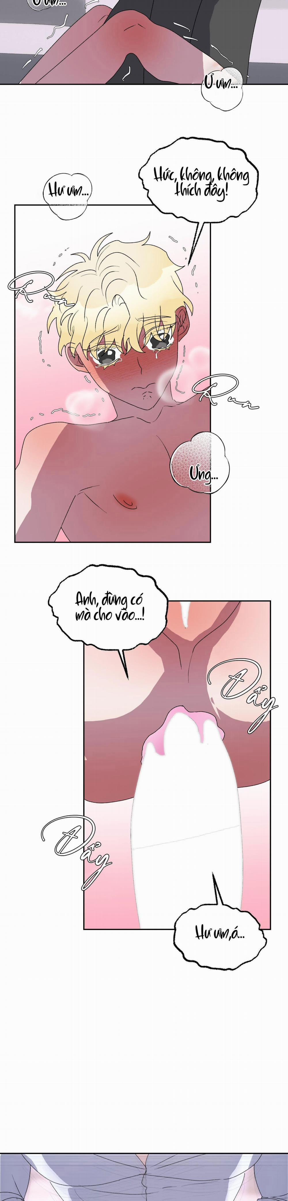 CÁ MẬP VÀ CÔ DÂU THỎ 11 trang 21