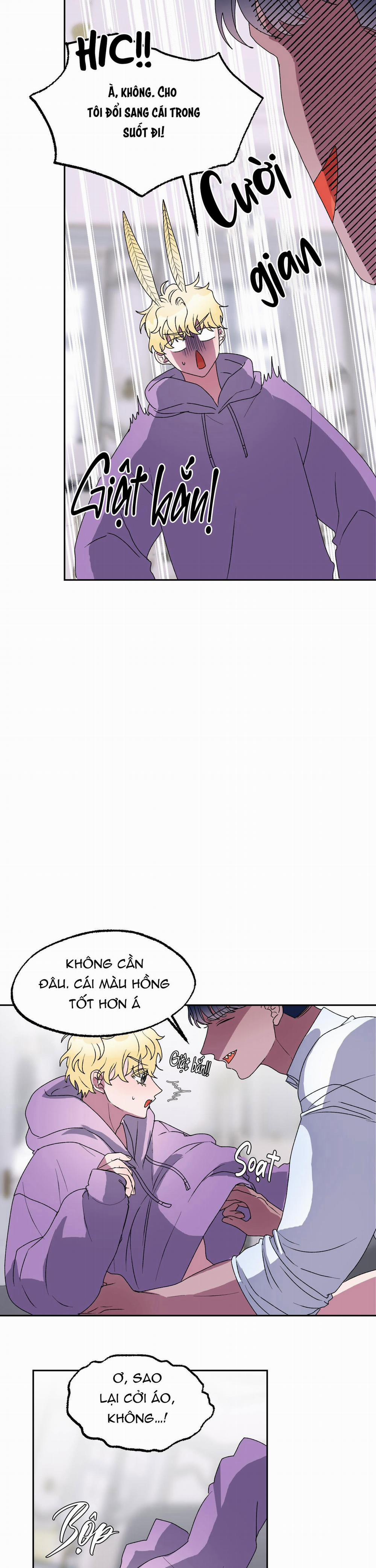 CÁ MẬP VÀ CÔ DÂU THỎ 11 trang 4