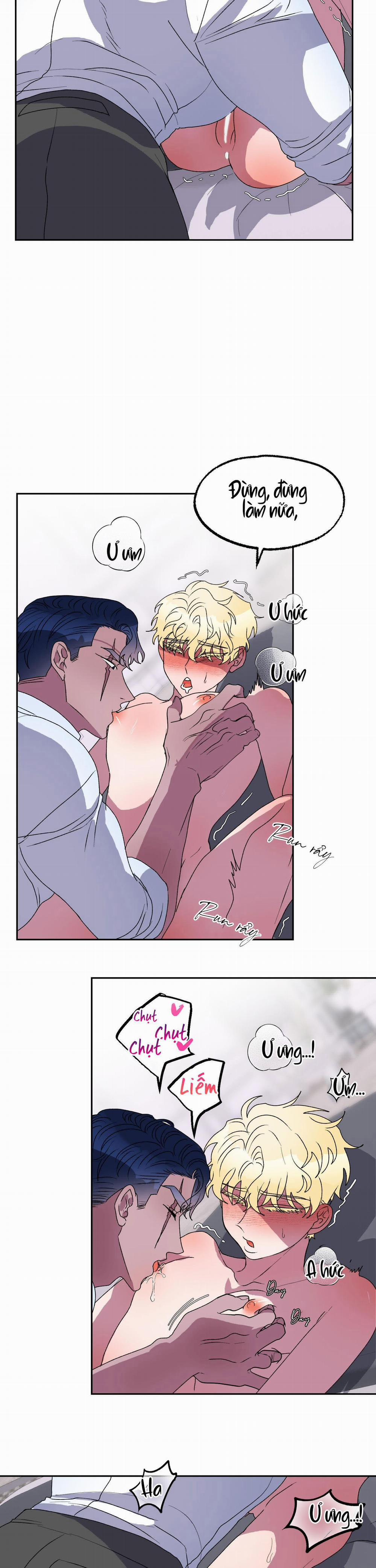 CÁ MẬP VÀ CÔ DÂU THỎ 11 trang 6