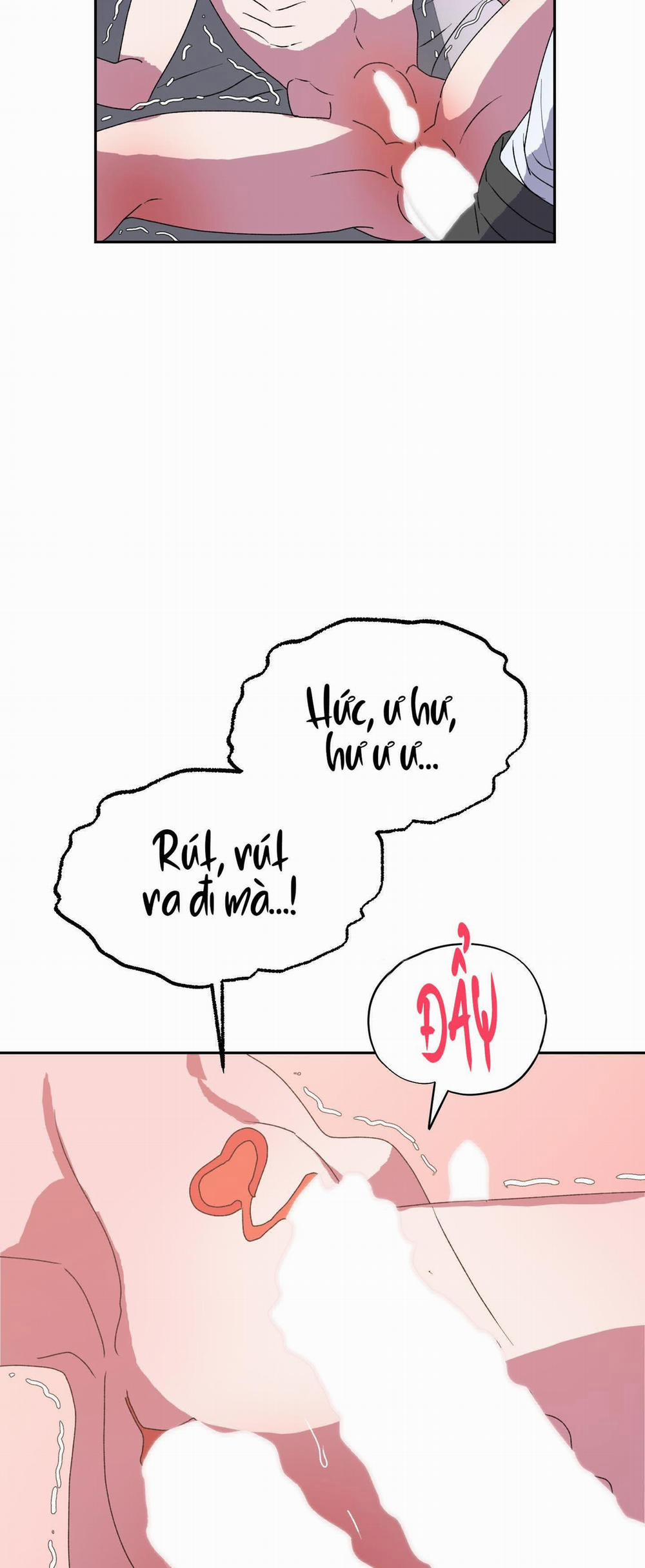 CÁ MẬP VÀ CÔ DÂU THỎ 12 trang 12