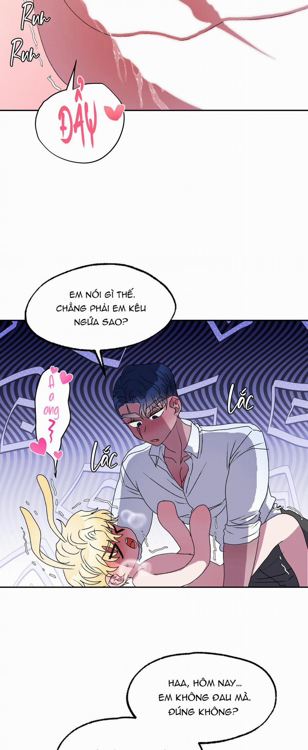 CÁ MẬP VÀ CÔ DÂU THỎ 12 trang 13