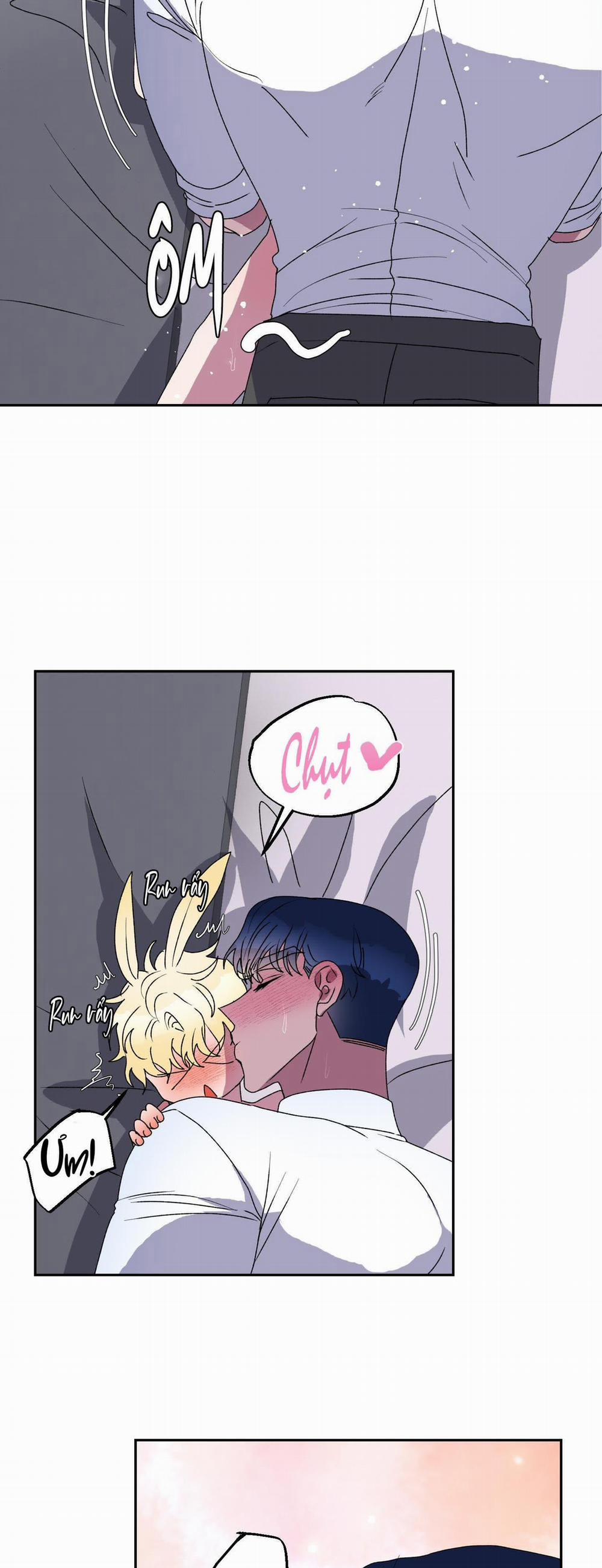 CÁ MẬP VÀ CÔ DÂU THỎ 12 trang 20