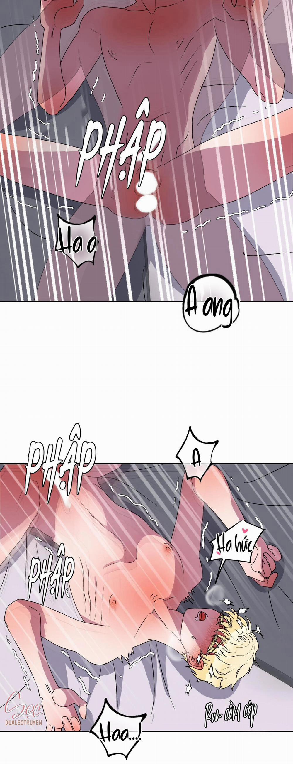 CÁ MẬP VÀ CÔ DÂU THỎ 12 trang 27