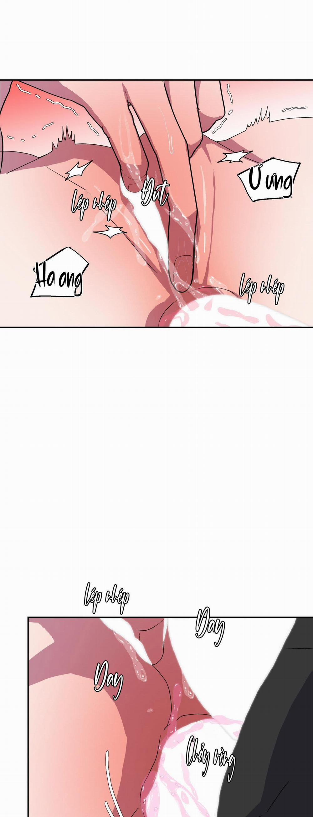 CÁ MẬP VÀ CÔ DÂU THỎ 12 trang 2