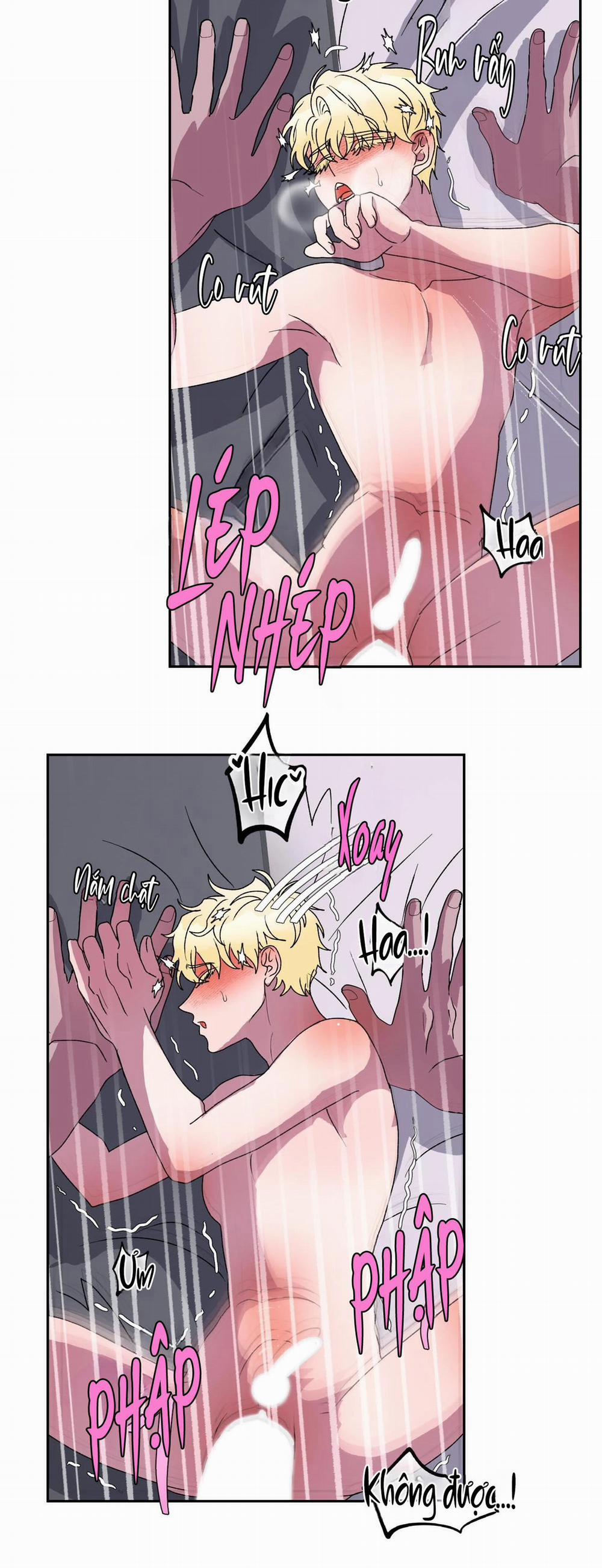 CÁ MẬP VÀ CÔ DÂU THỎ 12 trang 30