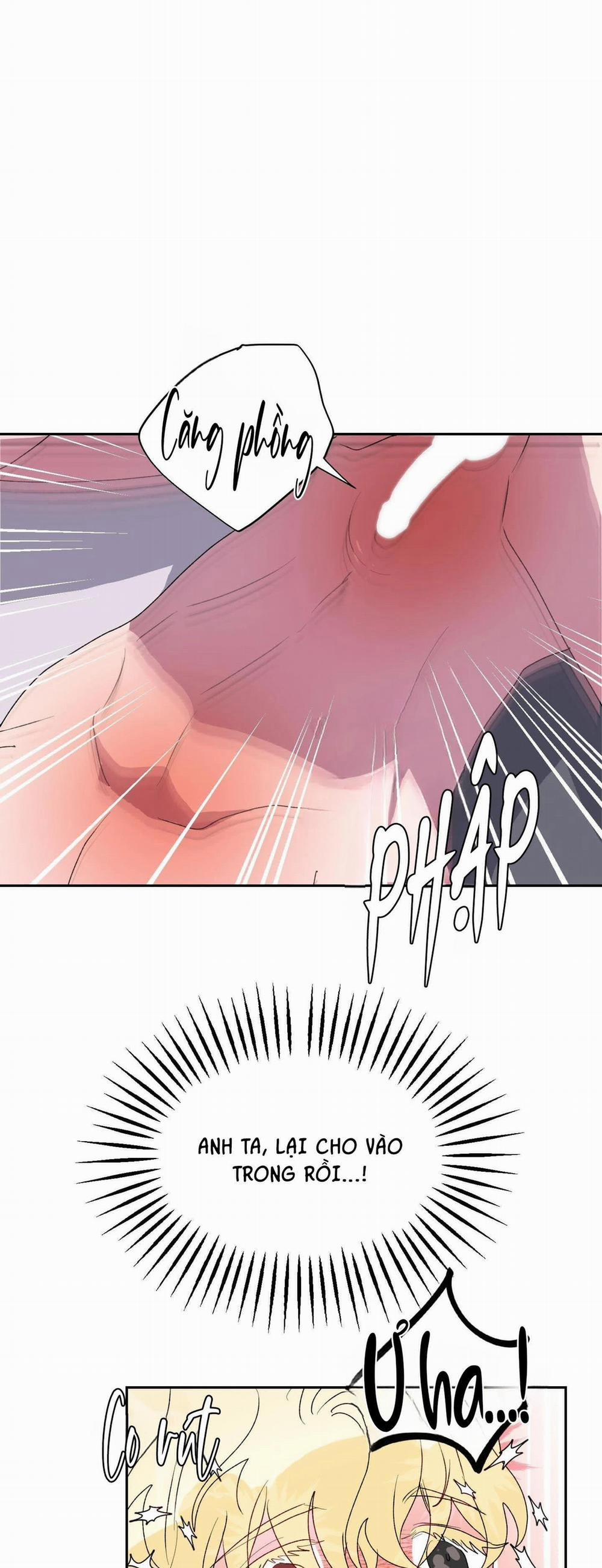 CÁ MẬP VÀ CÔ DÂU THỎ 12 trang 37