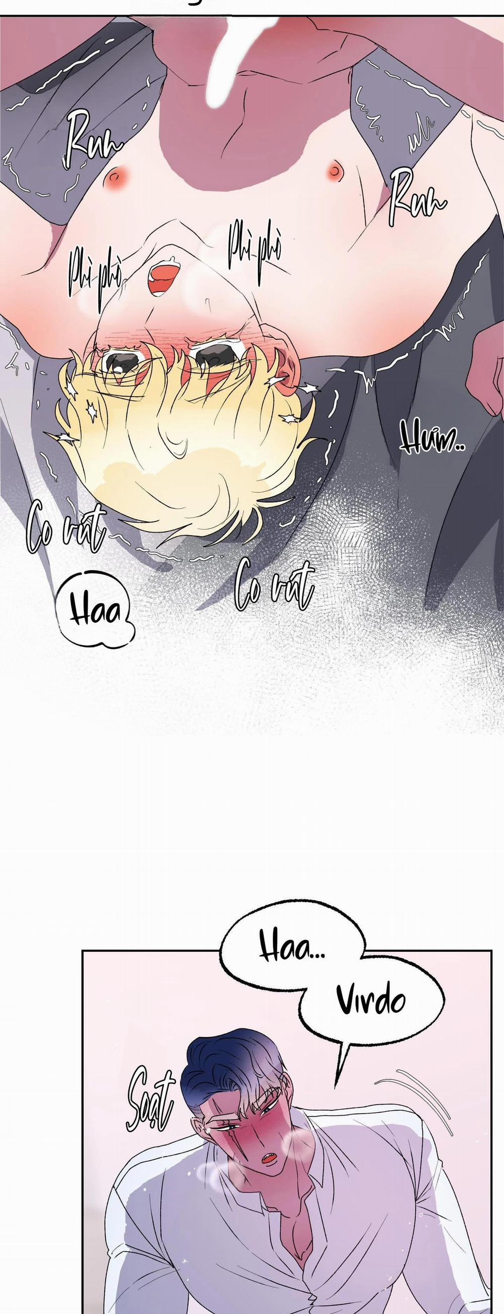 CÁ MẬP VÀ CÔ DÂU THỎ 12 trang 39