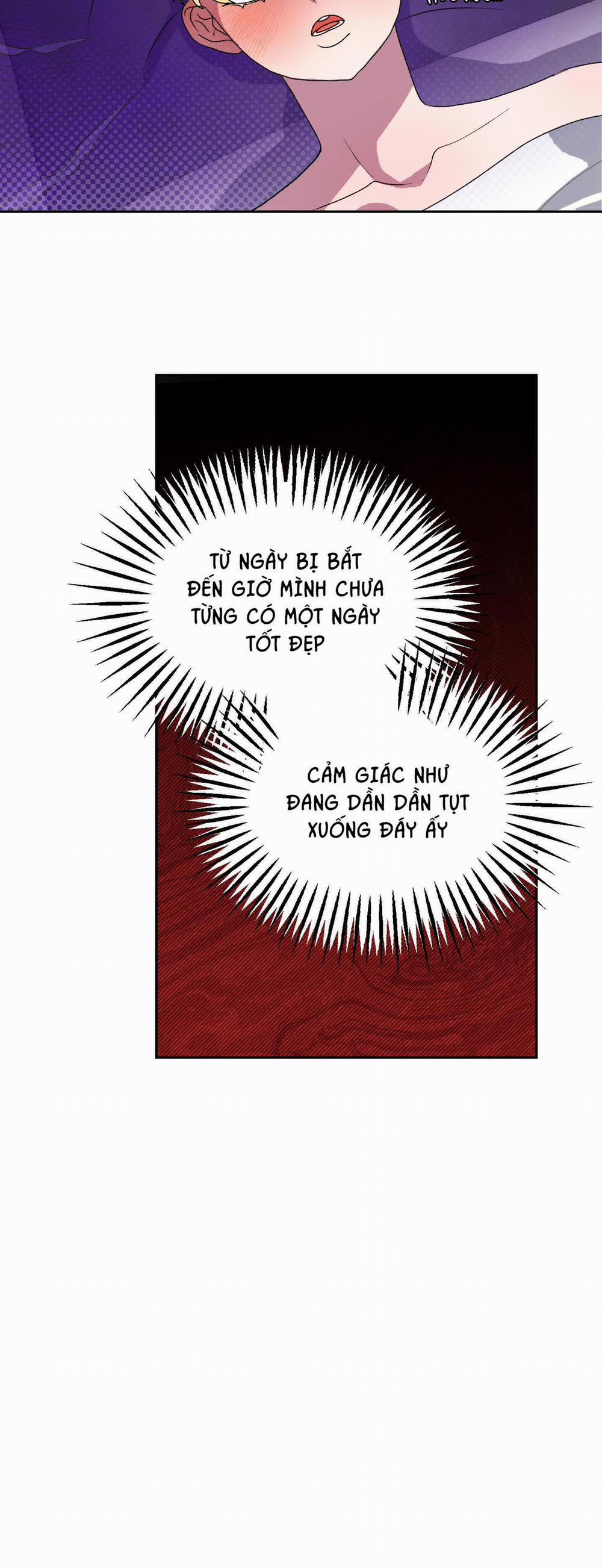 CÁ MẬP VÀ CÔ DÂU THỎ 12 trang 44