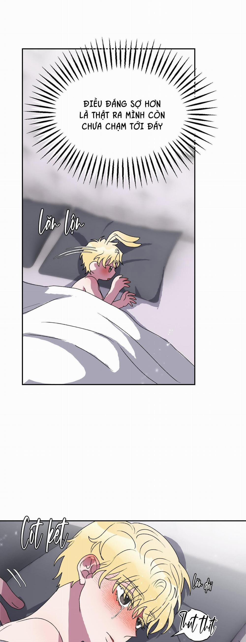 CÁ MẬP VÀ CÔ DÂU THỎ 12 trang 45