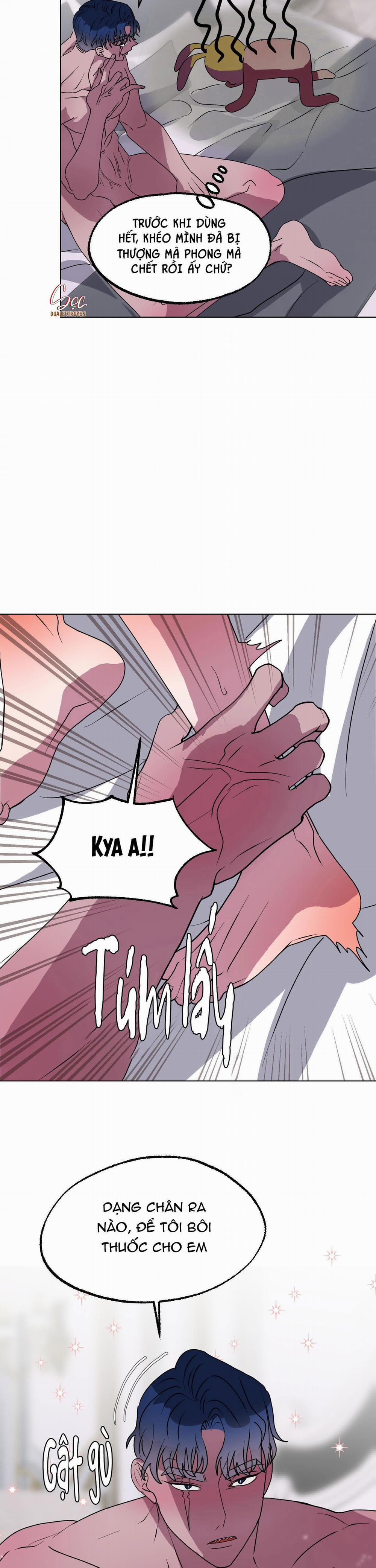 CÁ MẬP VÀ CÔ DÂU THỎ 13 trang 10