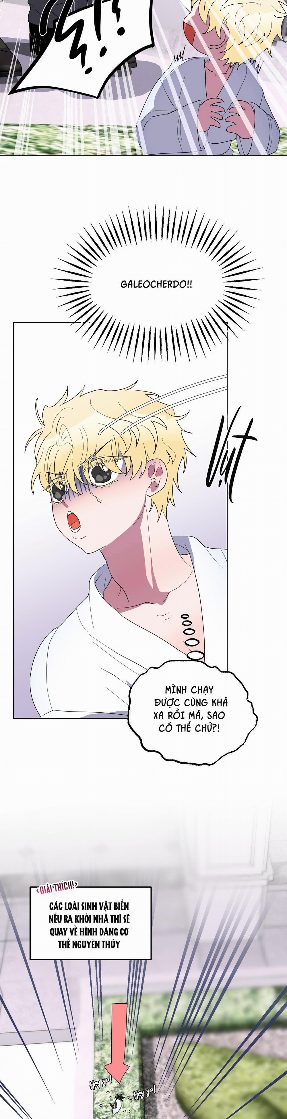 CÁ MẬP VÀ CÔ DÂU THỎ 14 trang 13