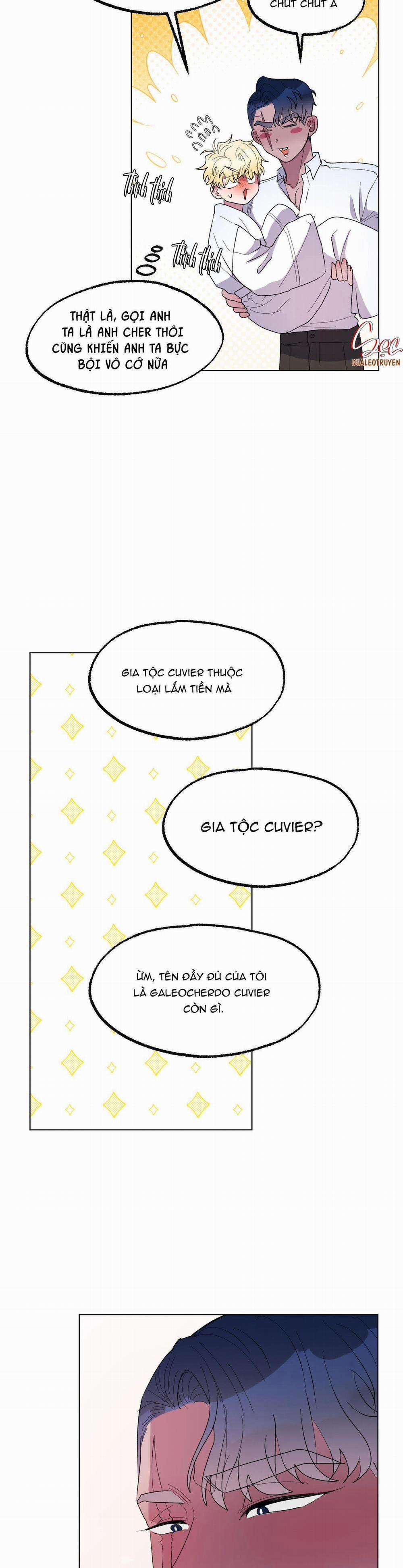 CÁ MẬP VÀ CÔ DÂU THỎ 14 trang 27