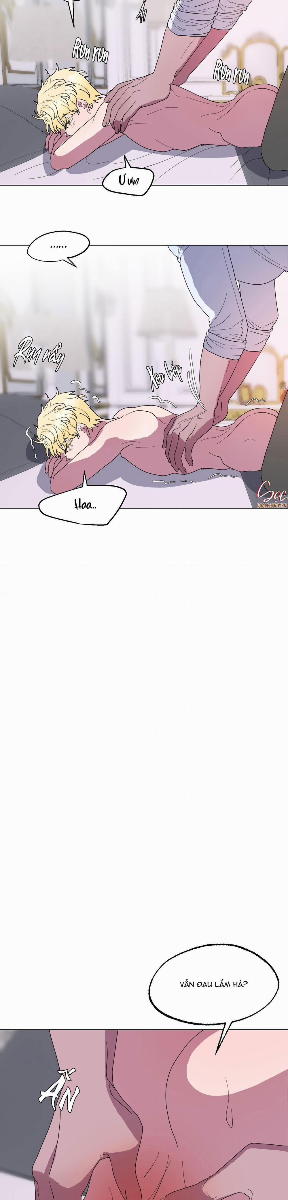 CÁ MẬP VÀ CÔ DÂU THỎ 15 trang 16