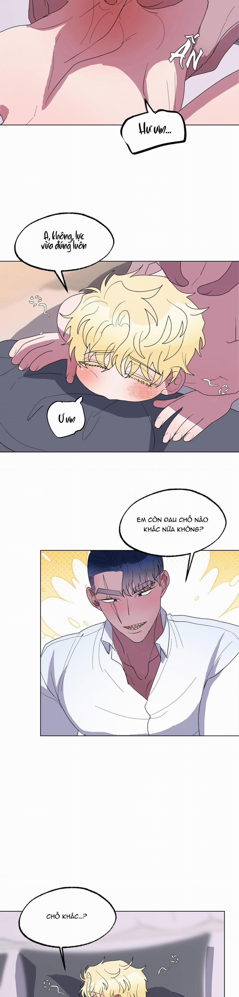 CÁ MẬP VÀ CÔ DÂU THỎ 15 trang 17