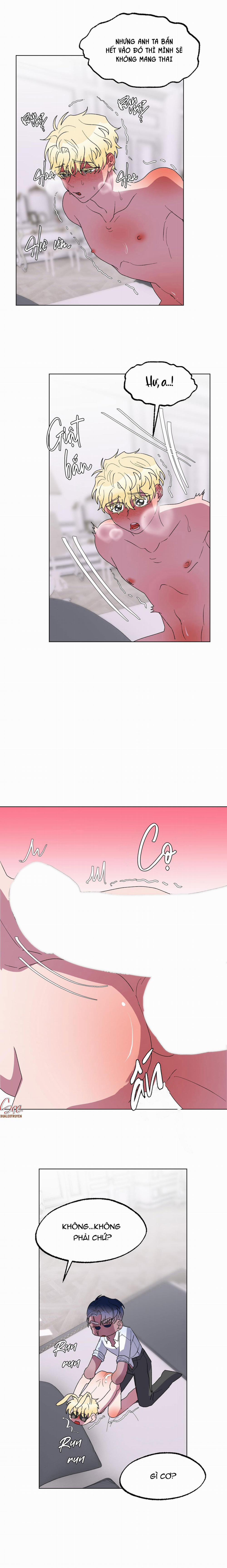 CÁ MẬP VÀ CÔ DÂU THỎ 16 trang 5