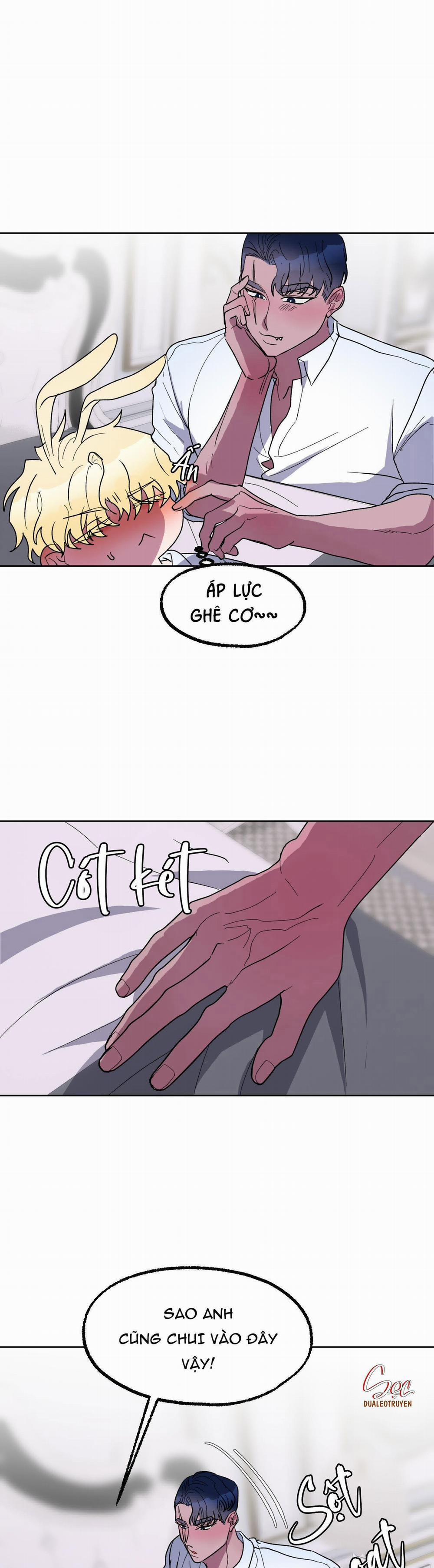 CÁ MẬP VÀ CÔ DÂU THỎ 17 trang 25