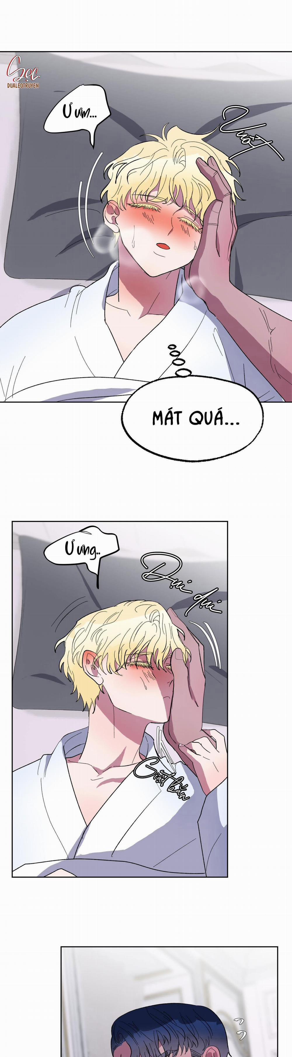 CÁ MẬP VÀ CÔ DÂU THỎ 17 trang 2