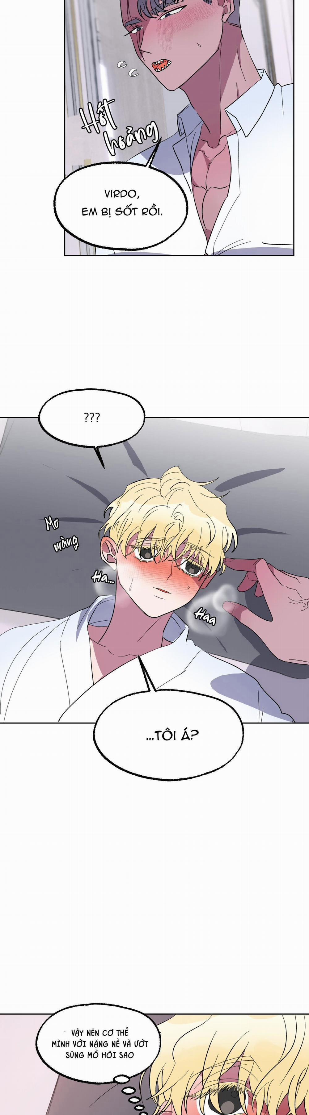 CÁ MẬP VÀ CÔ DÂU THỎ 17 trang 3