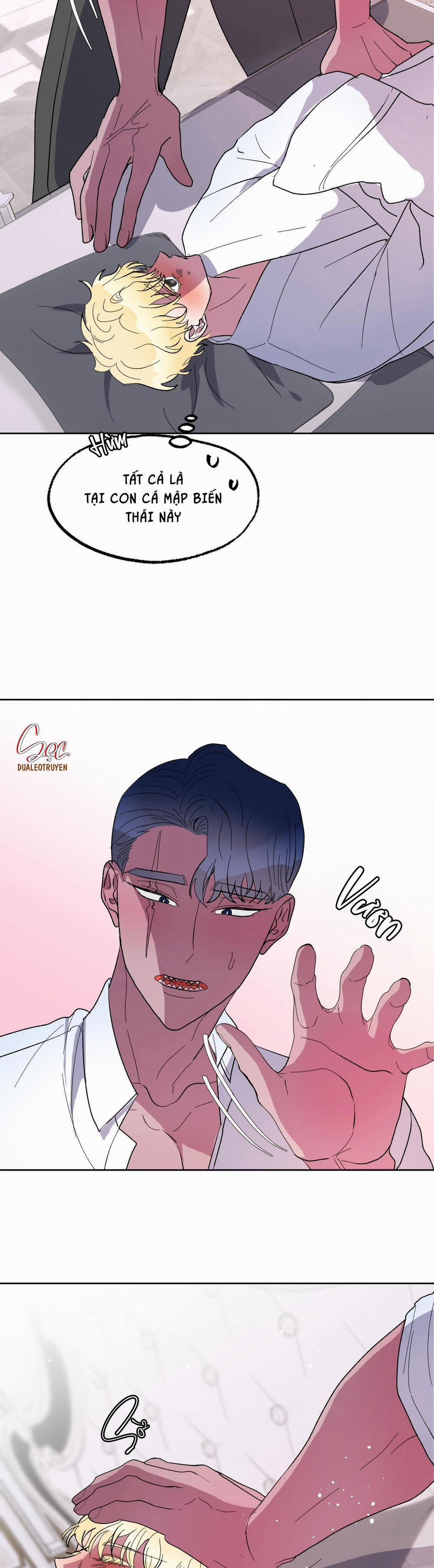 CÁ MẬP VÀ CÔ DÂU THỎ 17 trang 5